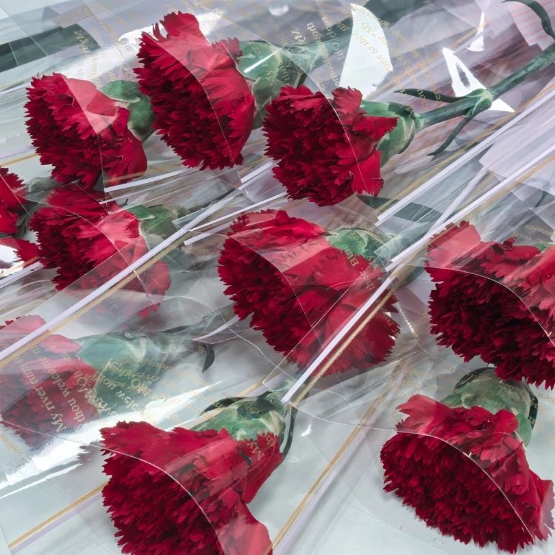 婦女節(jié) | 春風(fēng)如你，熠熠芳華